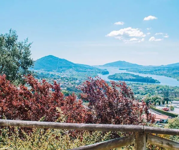 Just Like - Number 8 Em Quinta Mineirinhas 4*