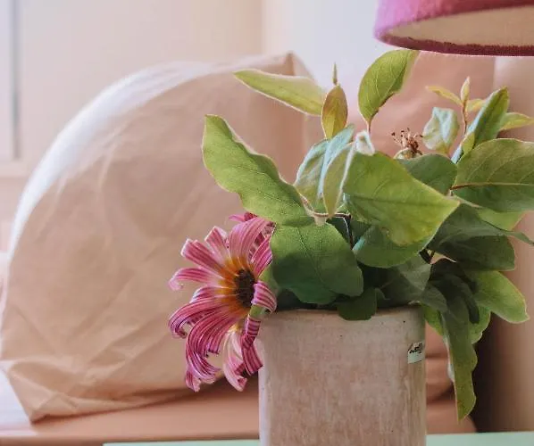 Just Like - Number 8 Em Quinta Mineirinhas